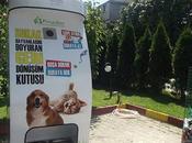 Máquina alimenta perros gatos callejeros Turquía