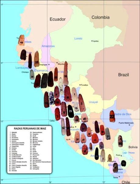 Mapa-maiz-peru (Cortesía: agro.biodiver.se)