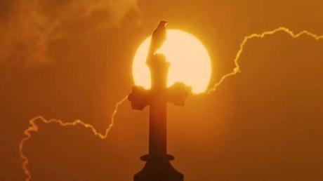 Kataku no hito - 1986