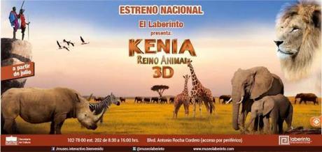 Kenia 3d