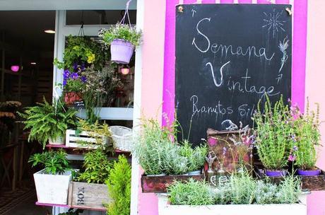 Ideas para decorar y conservar #lavanda