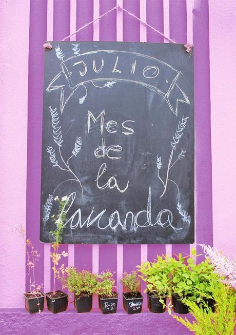 Ideas para decorar y conservar #lavanda Ideas para decorar y conservar #lavanda