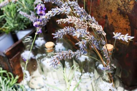 Ideas para decorar y conservar #lavanda Ideas para decorar y conservar #lavanda