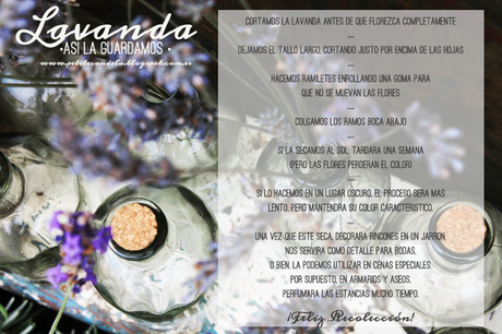 Ideas para decorar y conservar #lavanda Ideas para decorar y conservar #lavanda