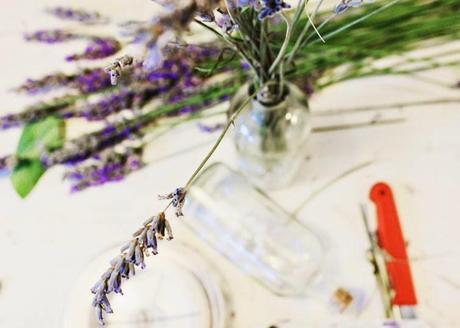 Ideas para decorar y conservar #lavanda Ideas para decorar y conservar #lavanda