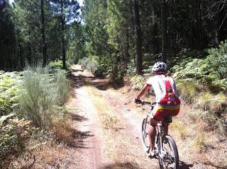 Por las refrescantes charcas de Gredos