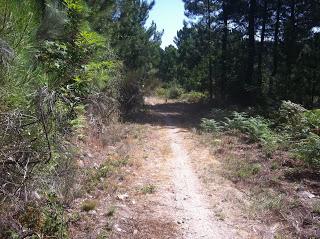 Por las refrescantes charcas de Gredos