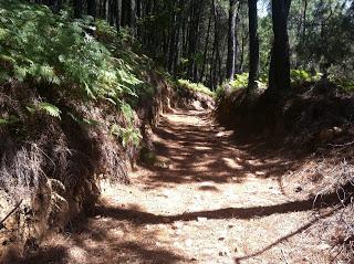 Por las refrescantes charcas de Gredos