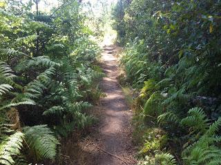 Por las refrescantes charcas de Gredos
