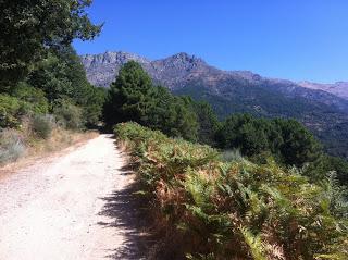 Por las refrescantes charcas de Gredos