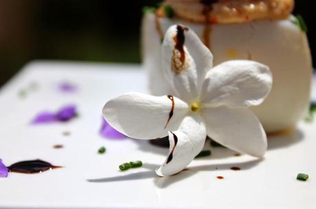 ¡TENGO LOS HUEVOS CUADRADOS y rellenos de atún y cangrejo!!