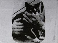 Héroes Inusuales: Simon, el Gato que fue enterrado con Honores Militares