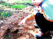 Cangrejito Paleontólogo