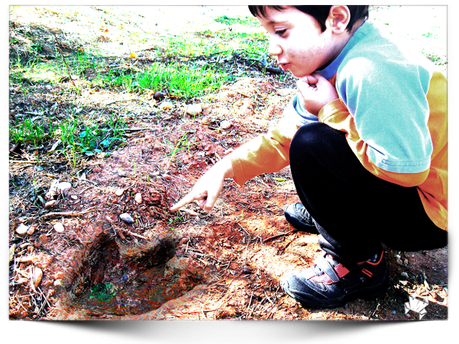 Cangrejito Paleontólogo