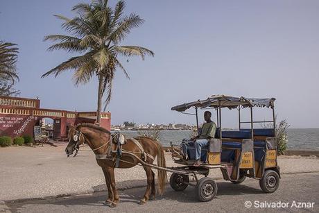Press Trip / Senegal http://www.diariosdeunfotografodeviajes.com/2014/06/san-louis-de-senegal.html