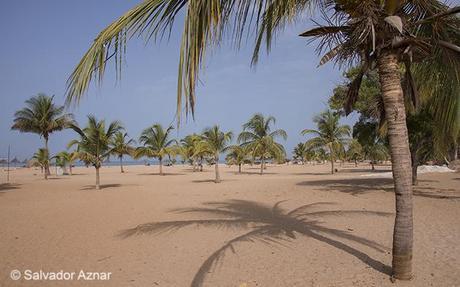 Press Trip / Senegal http://www.diariosdeunfotografodeviajes.com/2014/06/region-de-mbour-somone-y-saly.html