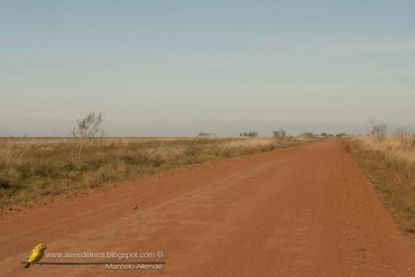 Corrientes / Ruta 40