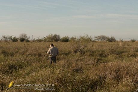 Roberto buscando al Yetapá de collar