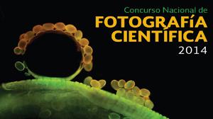 Concurso fotografía CONACYT