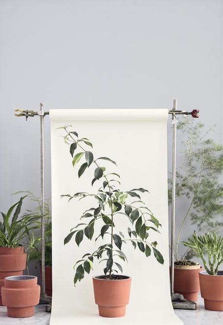 BOLIA NUEVA COLECCIÓN 2015