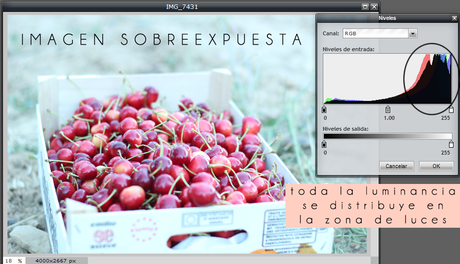 CEFP: El histograma de una imagen y los ajustes en Pixlr Editor