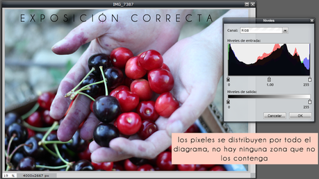 CEFP: El histograma de una imagen y los ajustes en Pixlr Editor