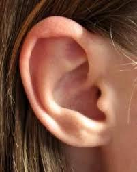 oidos3 Cuidado de la salud de los oídos a la hora de viajar y en verano