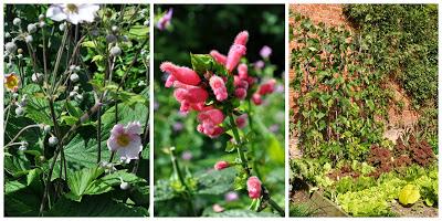 Powis Castle Garden