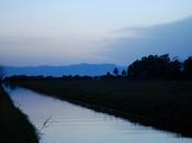 HASTA RESULTARÁ HUMANO! III)