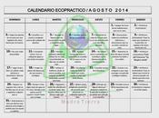 Fundación Cristiana Madre Tierra lanza Calendario Ecopráctico para cuidar planeta