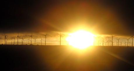 Talento  ¿Para qué?