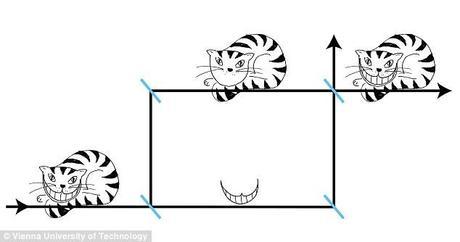cheshire quantum cat