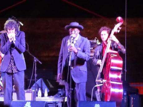 Chicago Blues Review - 11/07/2014 - Bejar