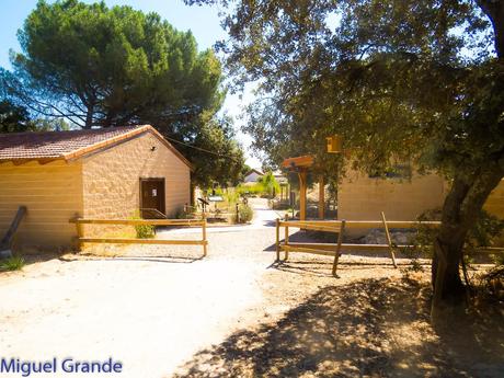 GREFA UN DIA INOLVIDABLE-ACTUAR,FORMAR E INFORMAR