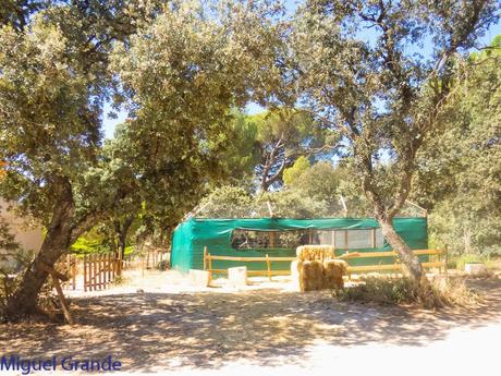 GREFA UN DIA INOLVIDABLE-ACTUAR,FORMAR E INFORMAR