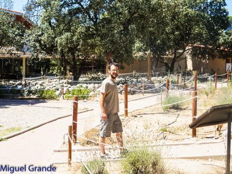 GREFA UN DIA INOLVIDABLE-ACTUAR,FORMAR E INFORMAR