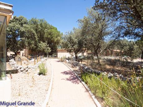 GREFA UN DIA INOLVIDABLE-ACTUAR,FORMAR E INFORMAR