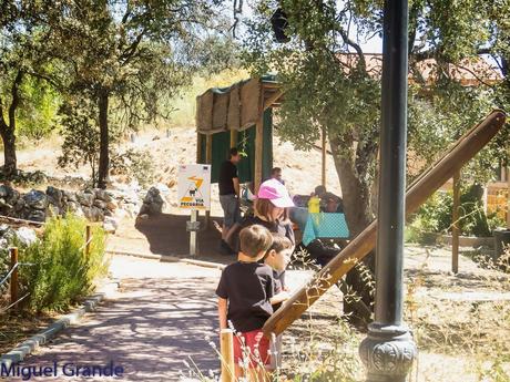 GREFA UN DIA INOLVIDABLE-ACTUAR,FORMAR E INFORMAR