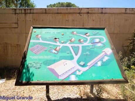 GREFA UN DIA INOLVIDABLE-ACTUAR,FORMAR E INFORMAR