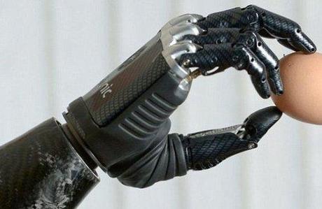 Flexibles Pequeños y Biomiméticos: Los Robots del Futuro