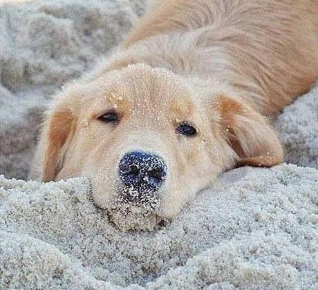 San Viernes practicando el Nadismo