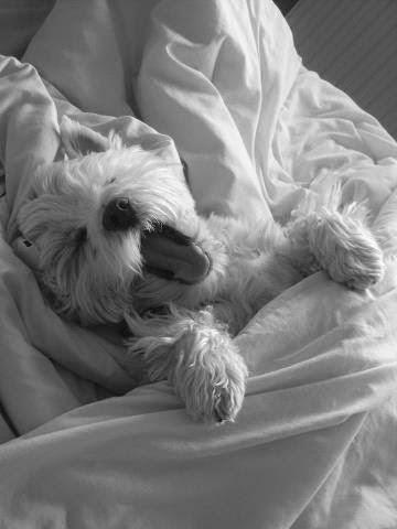 San Viernes practicando el Nadismo