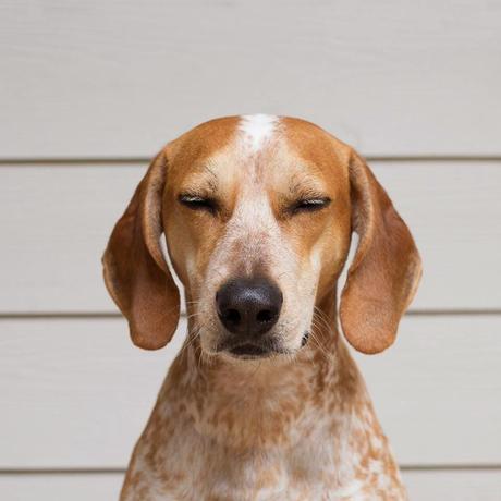 San Viernes practicando el Nadismo