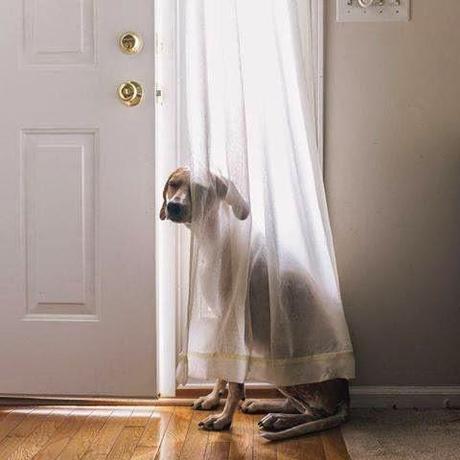 San Viernes practicando el Nadismo