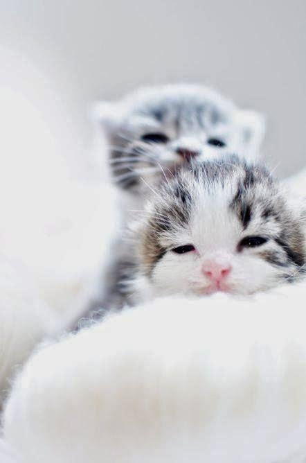 San Viernes practicando el Nadismo