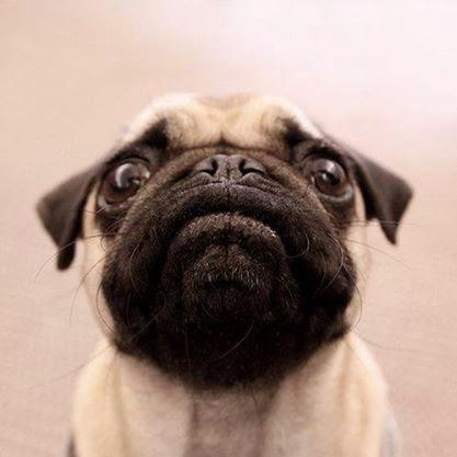 San Viernes practicando el Nadismo