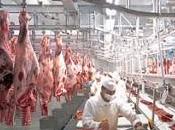 España quinto país productor carne vacuno
