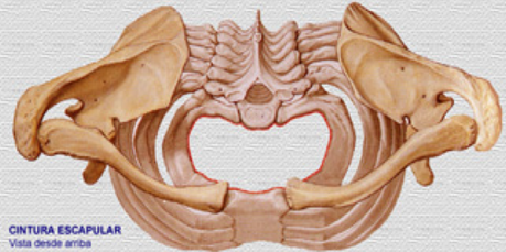 Captura de pantalla 2014-07-21 a la(s) 00.10.59