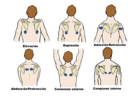 Estabilización escapular y ejercicios con aro mágico de Pilates Captura de pantalla 2014-07-21 a la(s) 00.10.36
