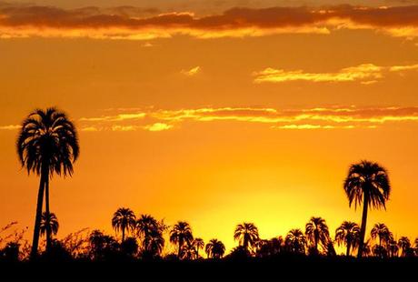 el atardecer en el Parque Nacional El Palmar
